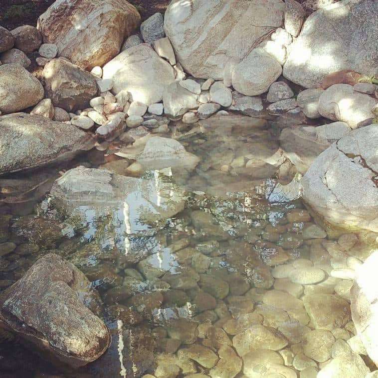 Pool Project 1