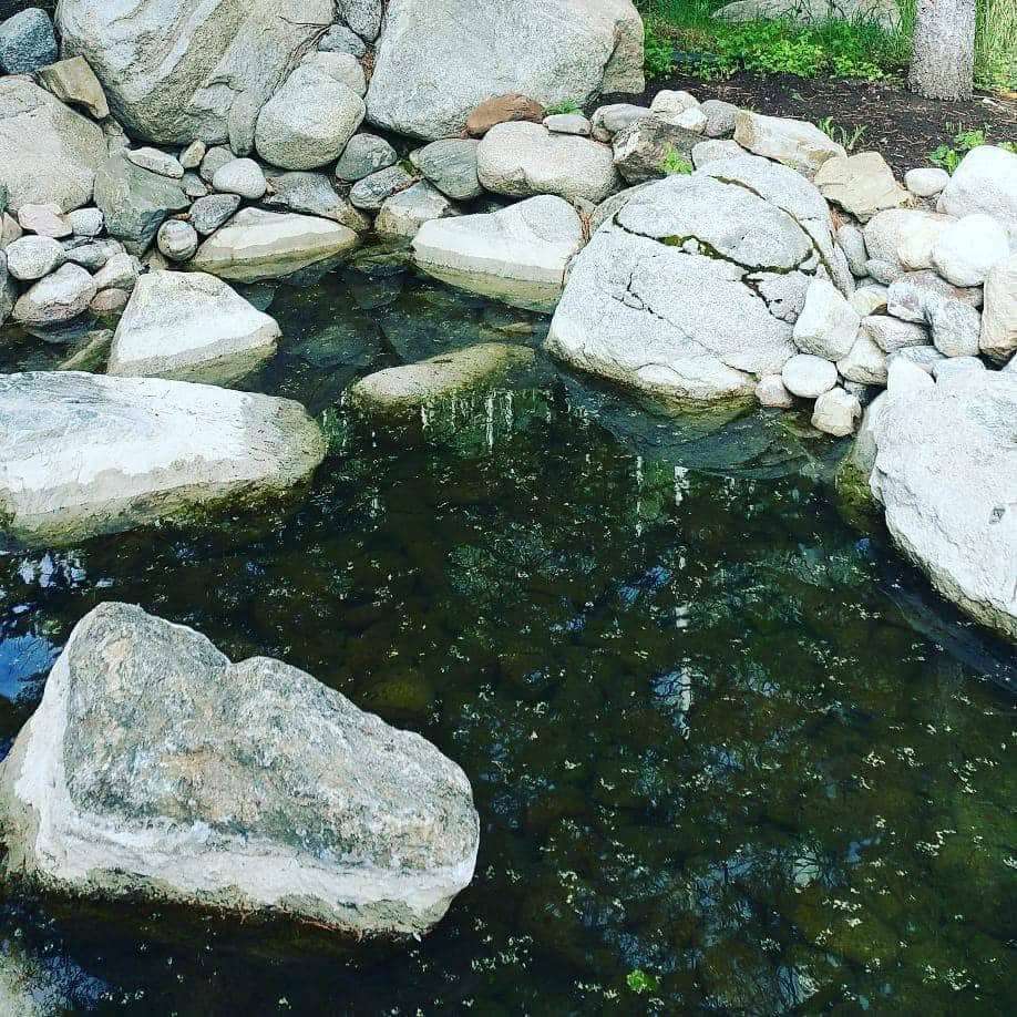 Pool Project 1